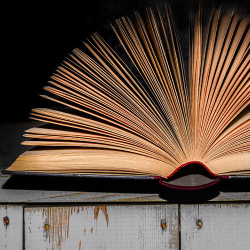 CHANGE IN REGISTERED ADDRESS